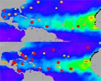 Saharan Dry, Dusty Air Lessened Intensity Of 2007 Hurricane Season