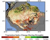 Fire and drought may push Amazonian forests beyond tipping point