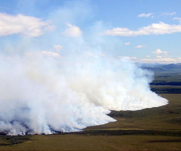 Record CO2 emissions for Arctic wildfires: EU