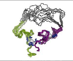 RNA controls splicing during gene expression, further evidence of 'RNA world' origin in modern life