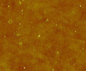 Warmed-up organic memory transistor has larger memory capacity