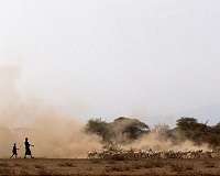 Land and climate: problems, solutions inextricably linked