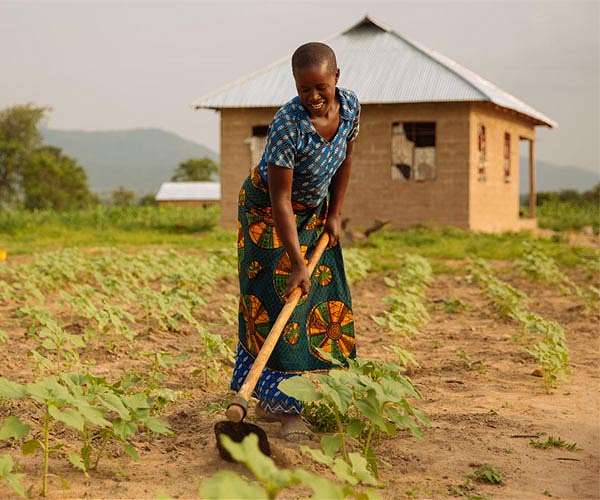 High-nutritional crops needed in Africa as population increases