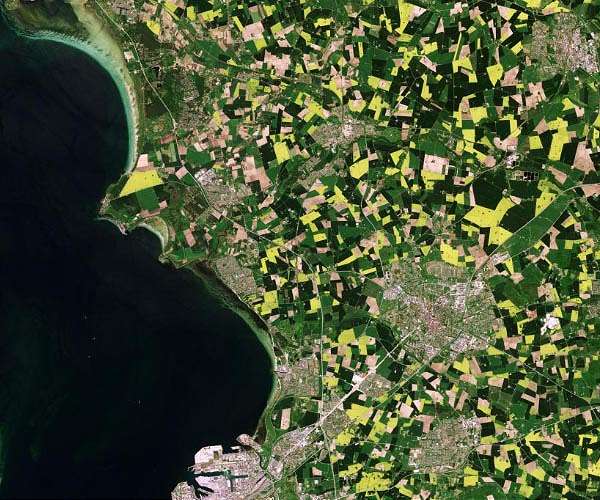 Agmatix partners with NASA Harvest to support sustainable agricultural