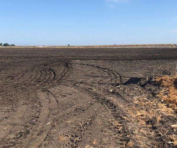Machine learning and solar energy unite for sustainable soil remediation