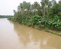Dozens of Philippine rivers destroyed by pollution: official