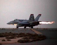 'Senior Al-Qaeda leader' killed in US strike in Syria: Pentagon
