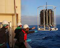 Tiny organisms with a massive impact