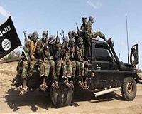 Senior Shebab leader killed in US strike in Somalia: Pentagon