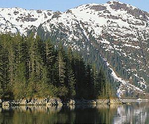 New report highlights diversity and value of Alaska's coastal forests