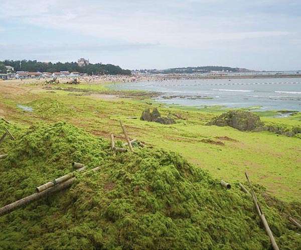 Satellites cast critical eye on coastal dead zones