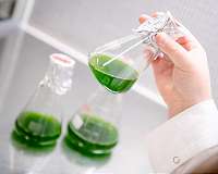 New corporate initiatives aim for carbon neutrality