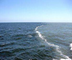 Run-off, emissions deliver double whammy to coastal marine creatures