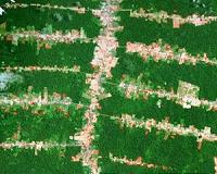 Deforestation is messing with our weather and our food