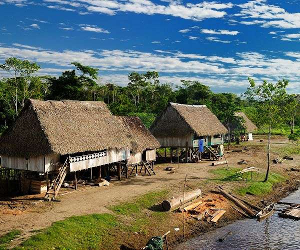 Murder rate in Amazon far higher than rest of Brazil: study