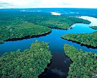 Brazil stems loss of Amazon rainforest