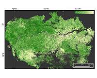 Outrage over killing of 'forest guardian' in Brazil's Amazon