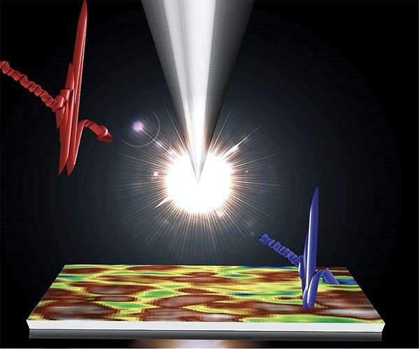 New discoveries made about a promising solar cell material, thanks to new microscope