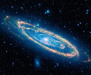 NASA's WISE Mission Releases Medley Of First Images