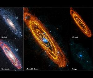 Andromeda's Once And Future Stars