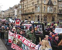 Animal Rights Extremists Threaten Researchers And Health Outcomes