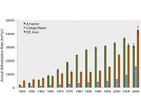 Effects of past tropical deforestation will be felt for years to come