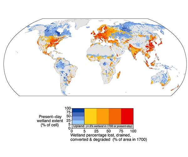 A second chance to protect wetlands