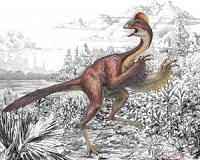 Queen's researcher examines the evolution of flight