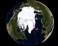 Super salty, subzero Arctic water provides peek at possible life on other planets