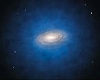 Decoding the gravitational evolution of dark matter halos