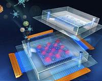 A cheap, disposable device for diagnosing disease