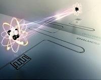 Physicists discover new laws governing the 'developmental biology of materials'