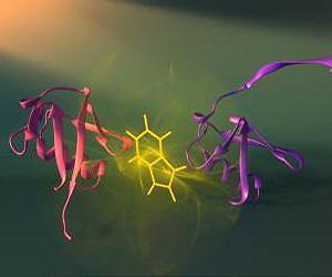 The new age of proteomics: An integrative vision of the cellular world