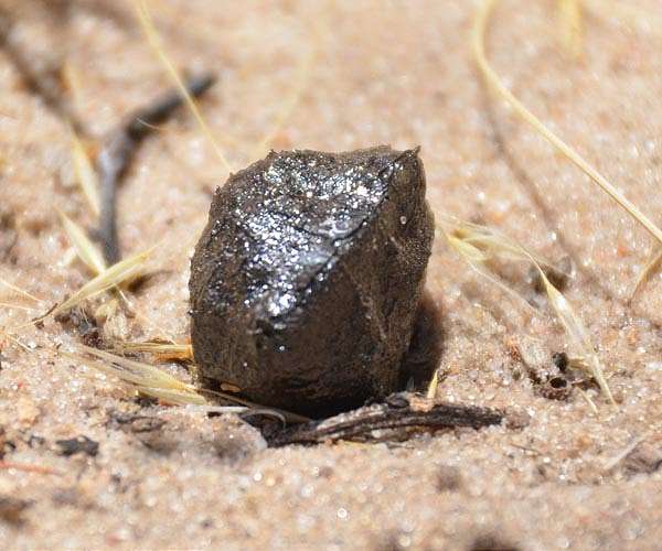 Fingerprinting minerals to better understand how they are affected by meteorite collisions