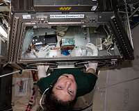 Space Station science payload operations continue amid pandemic