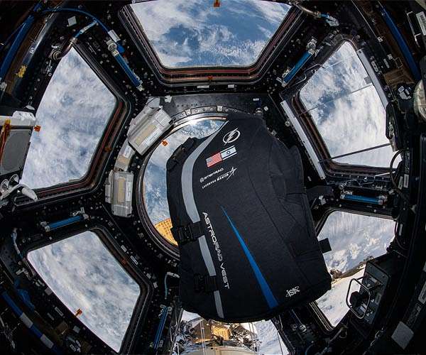 Scientific samples, hardware return from the space station for more study