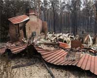 Survivors tell of Australian bushfire horror