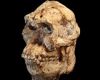 'Little Foot' 3.67 million years old