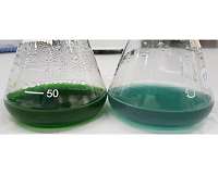A new way to make chemicals by copying nature's tricks