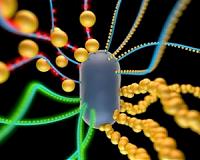 MIT engineers design 'living materials'