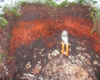 Oregon team says life in Earth's soils may be older than believed