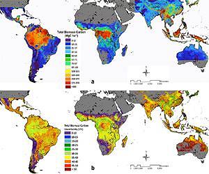 Reforestation's cooling influence a result of farmer's past choices