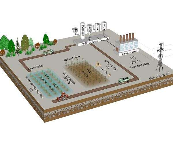 Biochar and rewetting combine to curb farm emissions without yield loss