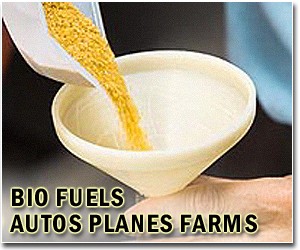 Lufthansa wants to test biofuels on German flights