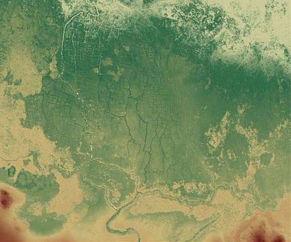 Artificial wetlands help clean runoff and support circular agriculture