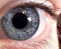 Blue-Eyed Humans Have A Single, Common Ancestor