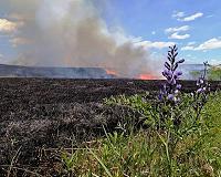 Native bison hunters amplified climate impacts on North American prairie fires