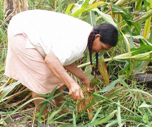 Santa Cruz, Bolivia's breadbasket, hopes political change will fuel growth