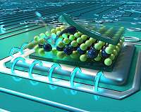 Quantum light sources pave the way for optical circuits