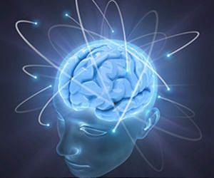 Compelling evidence that brain parts evolve independently